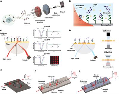 Advanced Evanescent-Wave Optical Biosensors for the Detection of Nucleic Acids: An Analytic Perspective